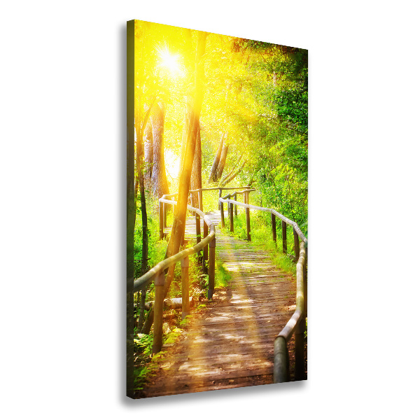 Cuadro canvas decorativo para salón vertical Camino en el bosque