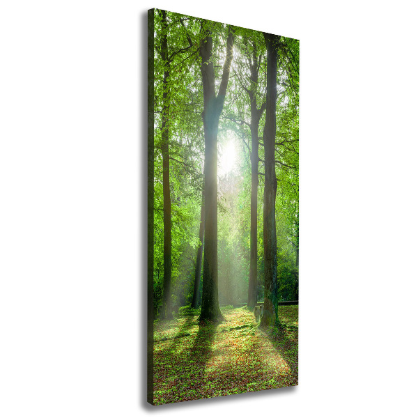 Cuadro moderno en lienzo resistente uv vertical El sol en el bosque