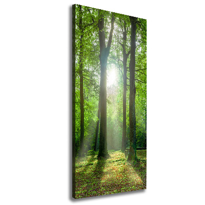Cuadro moderno en lienzo resistente uv vertical El sol en el bosque