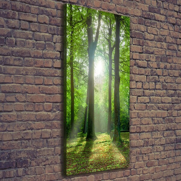 Cuadro moderno en lienzo resistente uv vertical El sol en el bosque