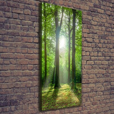Cuadro moderno en lienzo resistente uv vertical El sol en el bosque