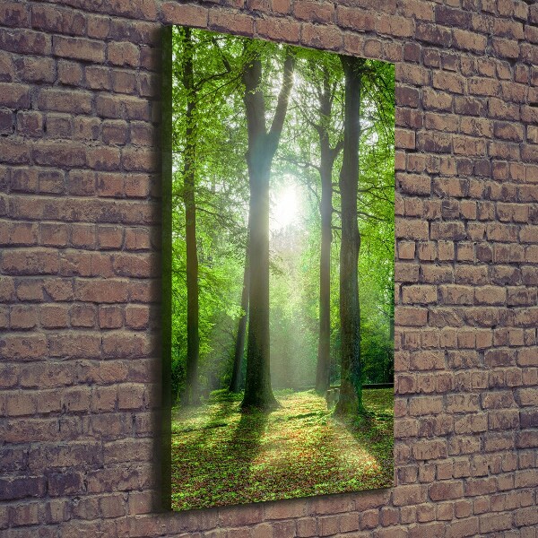 Cuadro moderno en lienzo resistente uv vertical El sol en el bosque