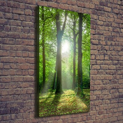 Cuadro moderno en lienzo resistente uv vertical El sol en el bosque
