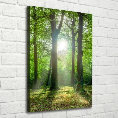 Cuadro moderno en lienzo resistente uv vertical El sol en el bosque