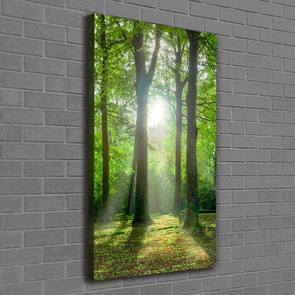 Cuadro moderno en lienzo resistente uv vertical El sol en el bosque