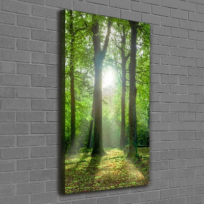 Cuadro moderno en lienzo resistente uv vertical El sol en el bosque