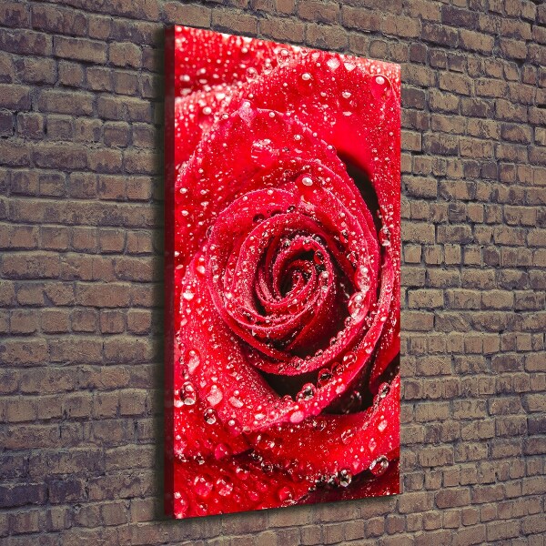 Fotografía en lienzo vertical Rosa roja