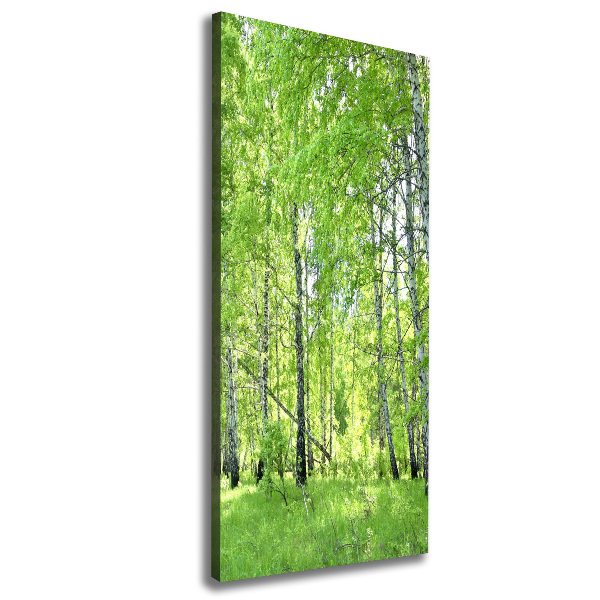 Fotografía en lienzo vertical bosque de abedules