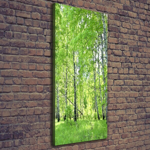 Fotografía en lienzo vertical bosque de abedules
