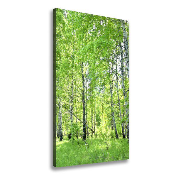 Fotografía en lienzo vertical bosque de abedules