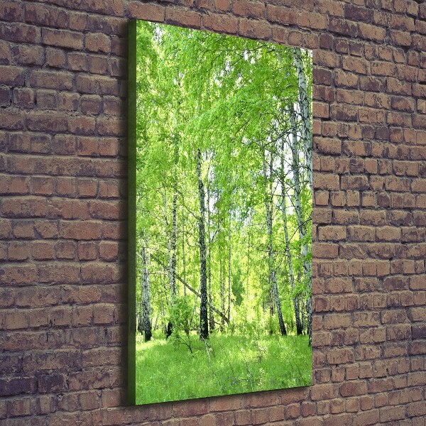 Fotografía en lienzo vertical bosque de abedules