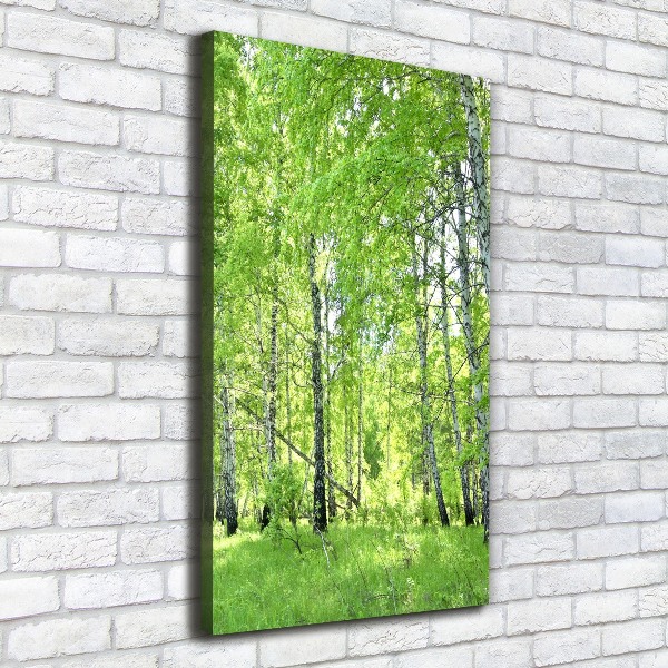 Fotografía en lienzo vertical bosque de abedules