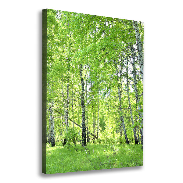 Fotografía en lienzo vertical bosque de abedules