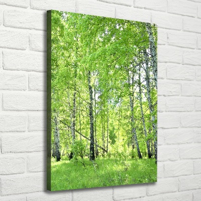 Fotografía en lienzo vertical bosque de abedules
