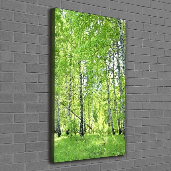 Fotografía en lienzo vertical bosque de abedules
