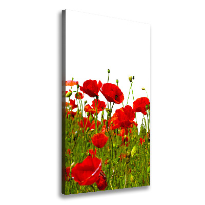 Fotografía en lienzo vertical Campo de amapolas