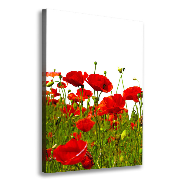 Fotografía en lienzo vertical Campo de amapolas