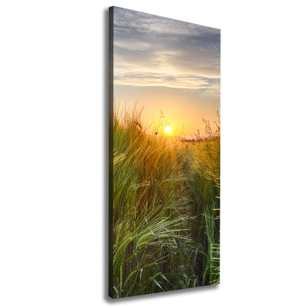 Cuadro canvas decorativo para salón vertical Campo de trigo