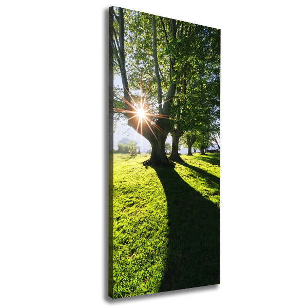 Cuadro canvas decorativo para salón vertical Parque