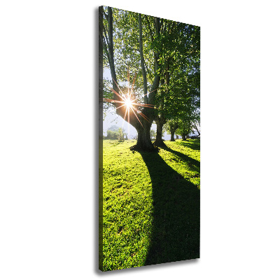 Cuadro canvas decorativo para salón vertical Parque