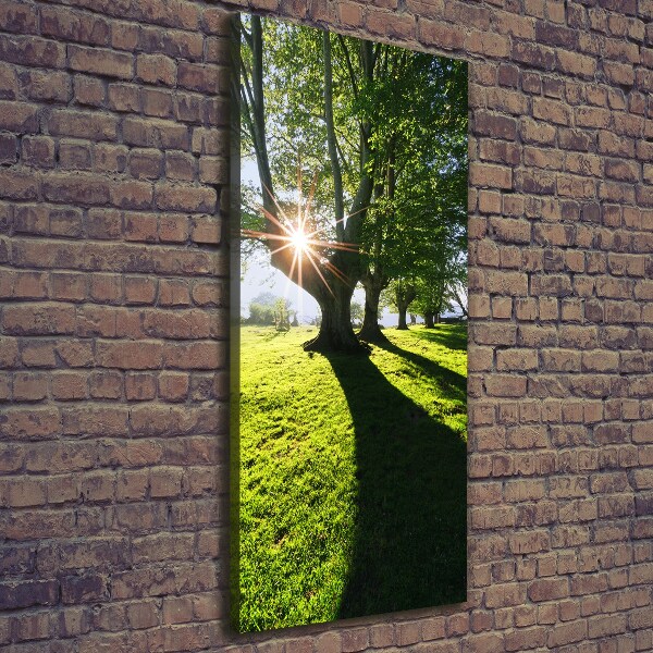 Cuadro canvas decorativo para salón vertical Parque