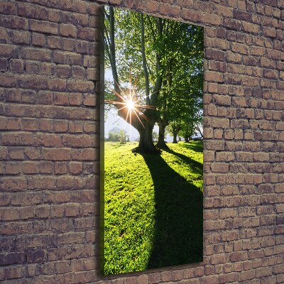 Cuadro canvas decorativo para salón vertical Parque