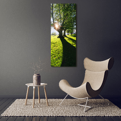 Cuadro canvas decorativo para salón vertical Parque