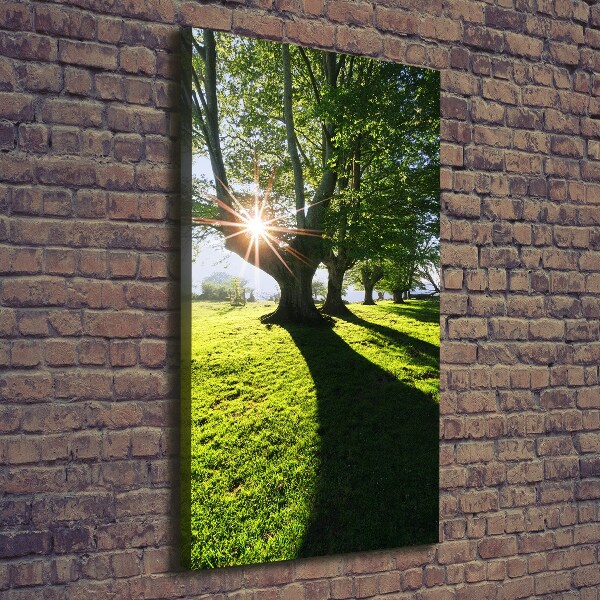 Cuadro canvas decorativo para salón vertical Parque