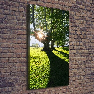 Cuadro canvas decorativo para salón vertical Parque