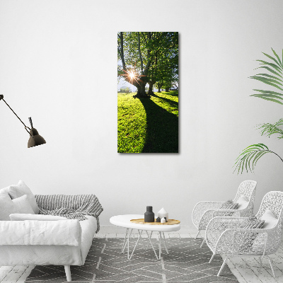 Cuadro canvas decorativo para salón vertical Parque