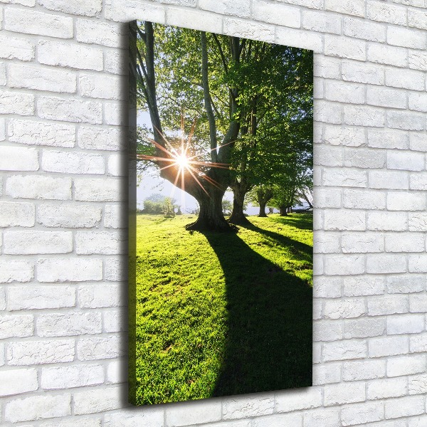 Cuadro canvas decorativo para salón vertical Parque