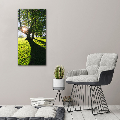 Cuadro canvas decorativo para salón vertical Parque