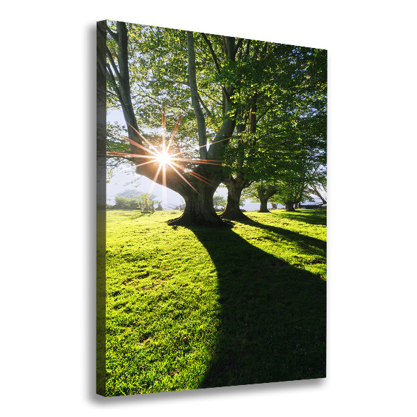 Cuadro canvas decorativo para salón vertical Parque