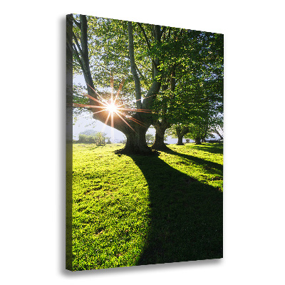 Cuadro canvas decorativo para salón vertical Parque
