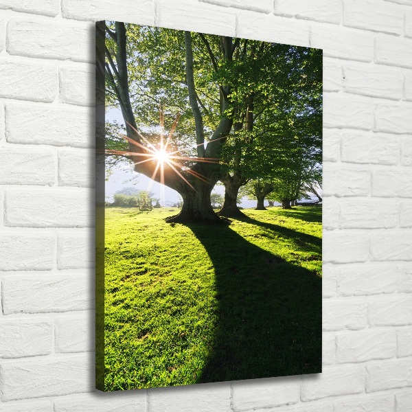 Cuadro canvas decorativo para salón vertical Parque