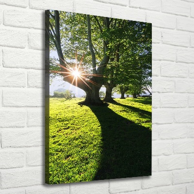 Cuadro canvas decorativo para salón vertical Parque
