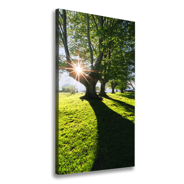 Cuadro canvas decorativo para salón vertical Parque