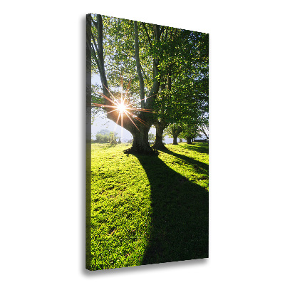 Cuadro canvas decorativo para salón vertical Parque