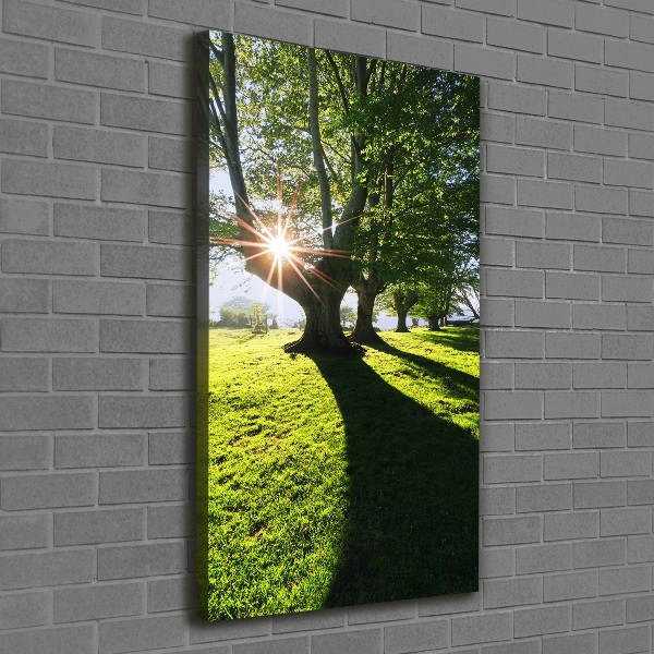 Cuadro canvas decorativo para salón vertical Parque