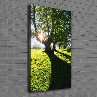 Cuadro canvas decorativo para salón vertical Parque