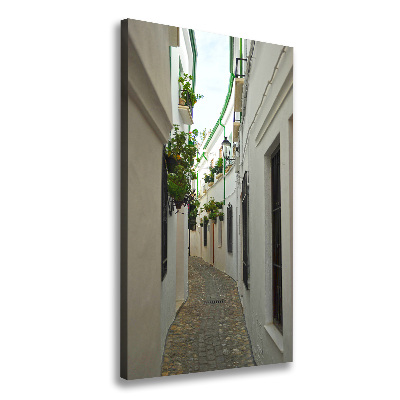 Cuadro canvas decorativo para salón vertical Las calles de Andalucía