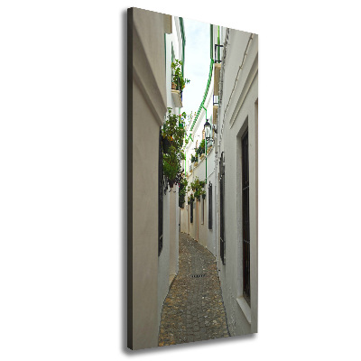 Cuadro canvas decorativo para salón vertical Las calles de Andalucía