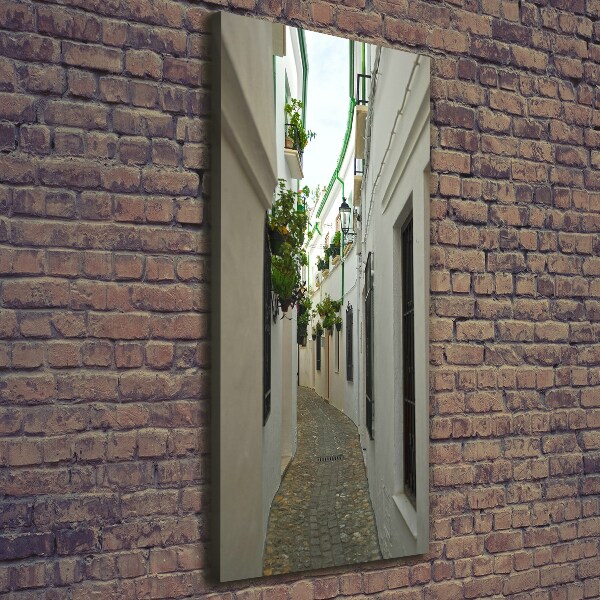 Cuadro canvas decorativo para salón vertical Las calles de Andalucía