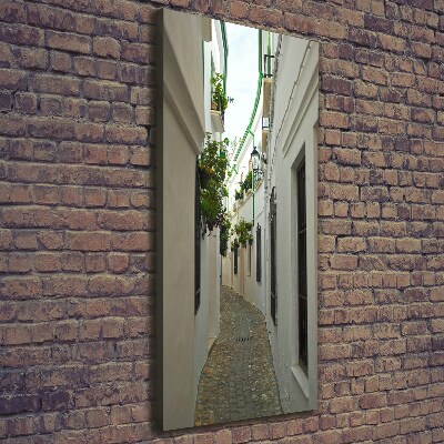 Cuadro canvas decorativo para salón vertical Las calles de Andalucía