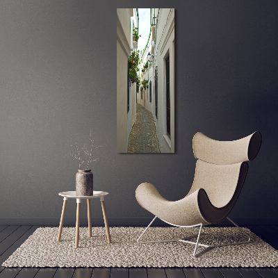 Cuadro canvas decorativo para salón vertical Las calles de Andalucía
