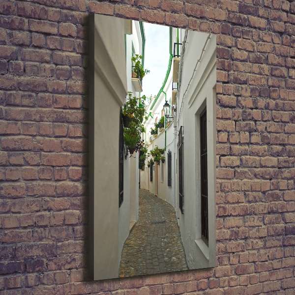 Cuadro canvas decorativo para salón vertical Las calles de Andalucía