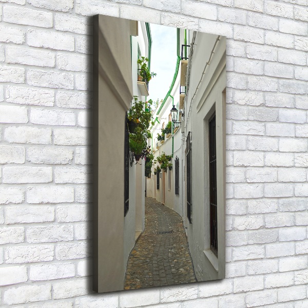 Cuadro canvas decorativo para salón vertical Las calles de Andalucía