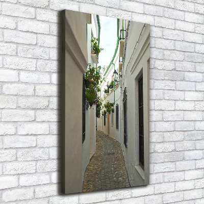Cuadro canvas decorativo para salón vertical Las calles de Andalucía