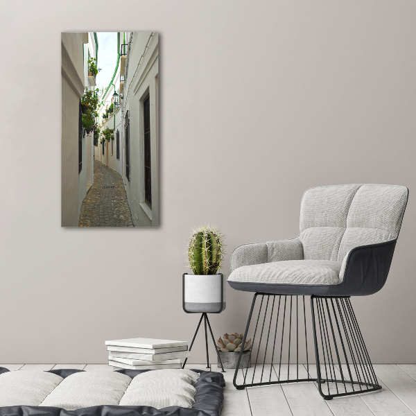Cuadro canvas decorativo para salón vertical Las calles de Andalucía