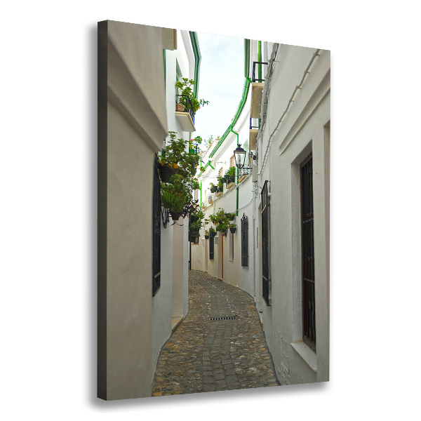Cuadro canvas decorativo para salón vertical Las calles de Andalucía